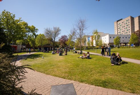 Students sit on Campus Green, looking towards Belmont Flats on a sunny day